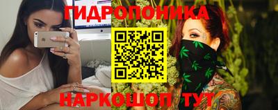 PSILOCYBIN Гусиноозёрск