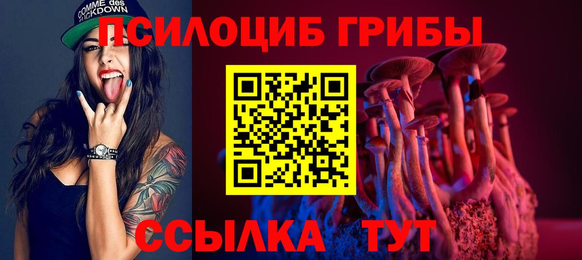 Псилоцибиновые грибы GOLDEN TEACHER  Вход с VPN  Чита 
